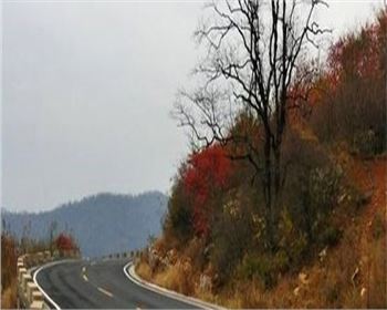 南山旅游西延工程