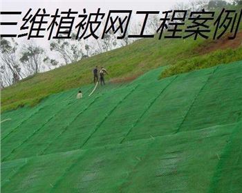 什么情況下采用三維植被網(wǎng)防護(hù)？