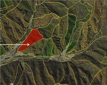 什么是影像地圖？